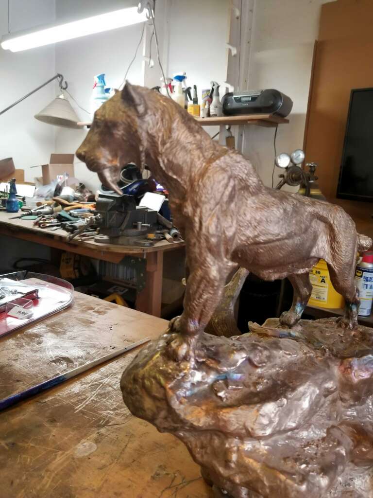 Bronze Sabretooth tiger in progress in studio
